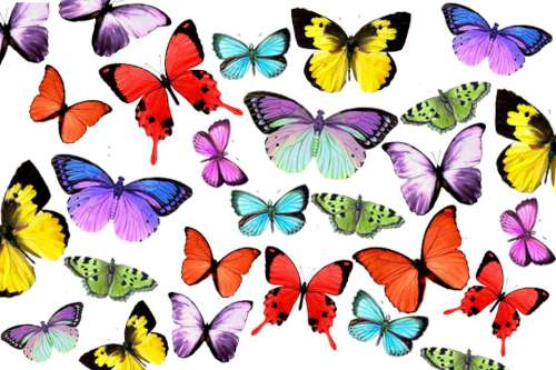 Butterflies Edible Icing Image - Click Image to Close